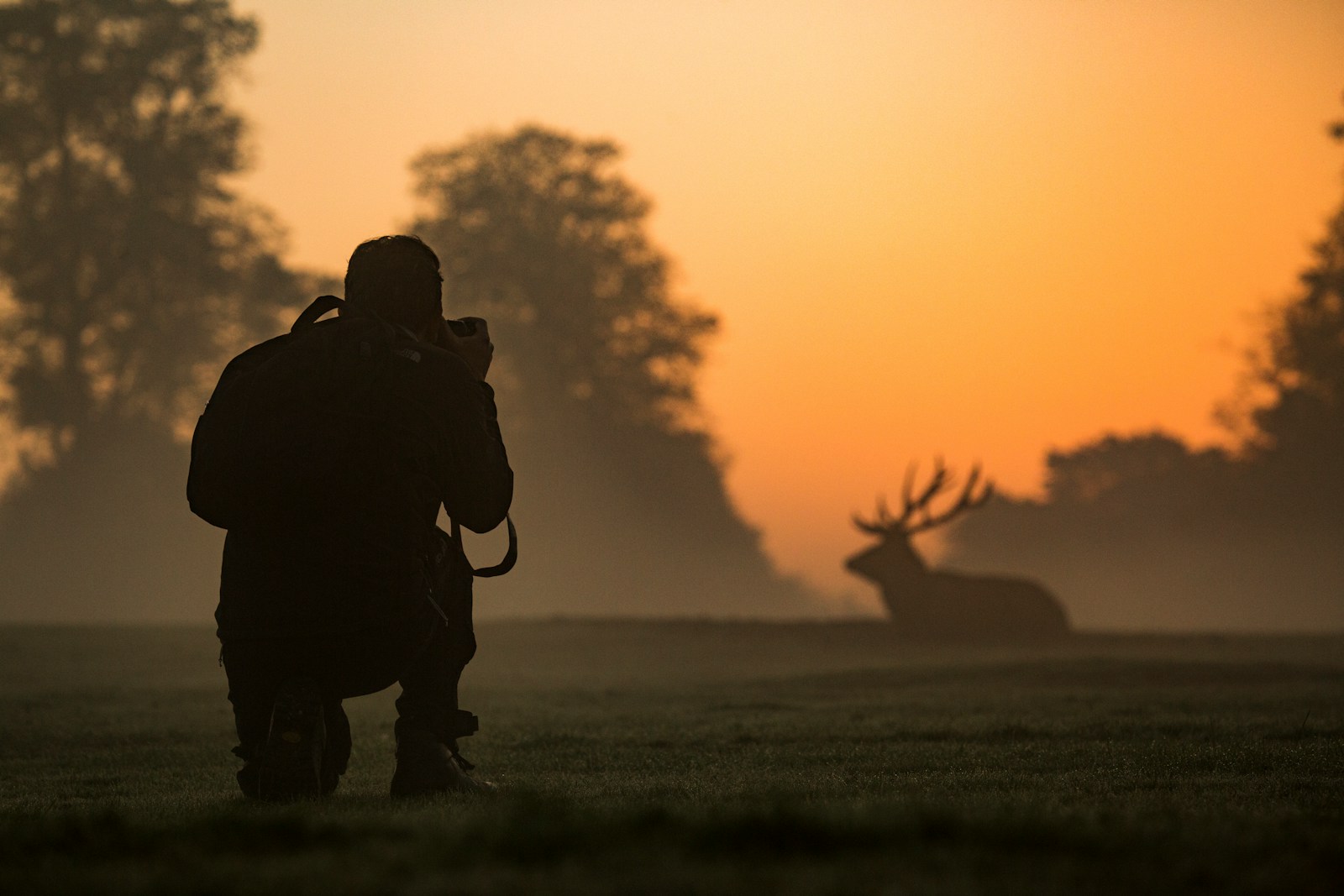 silhouette of man standing on grass field during sunset