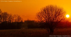 Golden Dawn: Bruce Graham’s Lynde Shores Sunrise from the Signature Collection