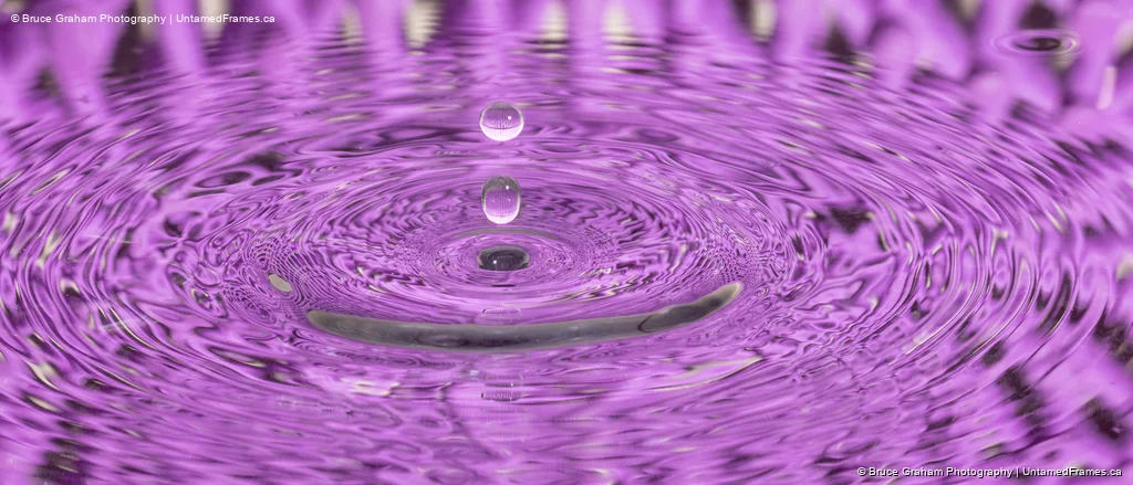 Frozen in Motion: Bruce Graham’s Water Droplet Ripples in Vivid Purple from the Signature Collection